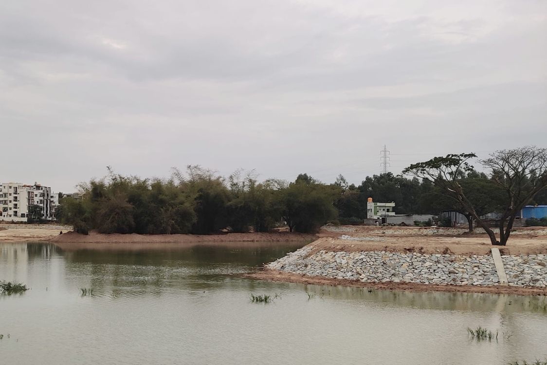 BGSW And SayTrees Restores Choodasandra Lake In Bengaluru